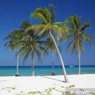 Habana, Cayo Santa María & Varadero