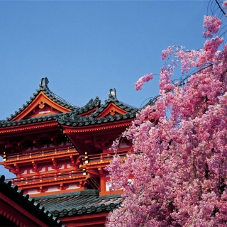 Capitales de Japón
